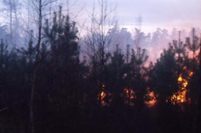 požár lesa 10.4.2012 - 2.JPG