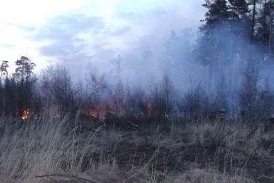 požár lesa 10.4.2012 - 1.JPG